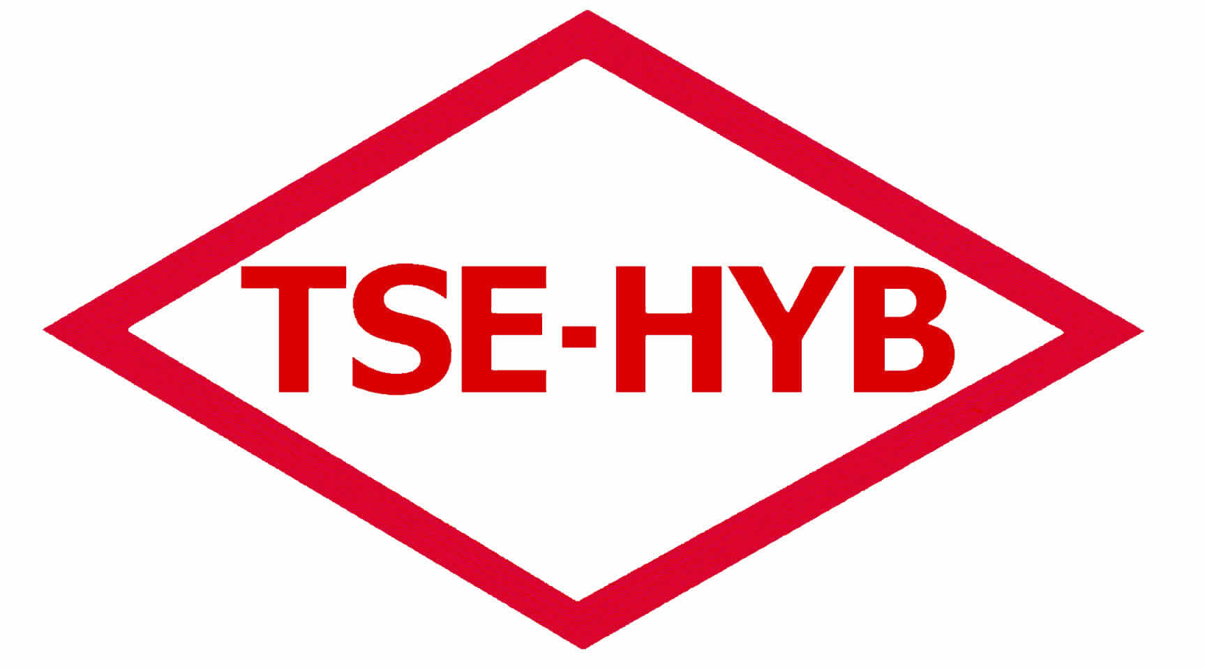 TSE HYB